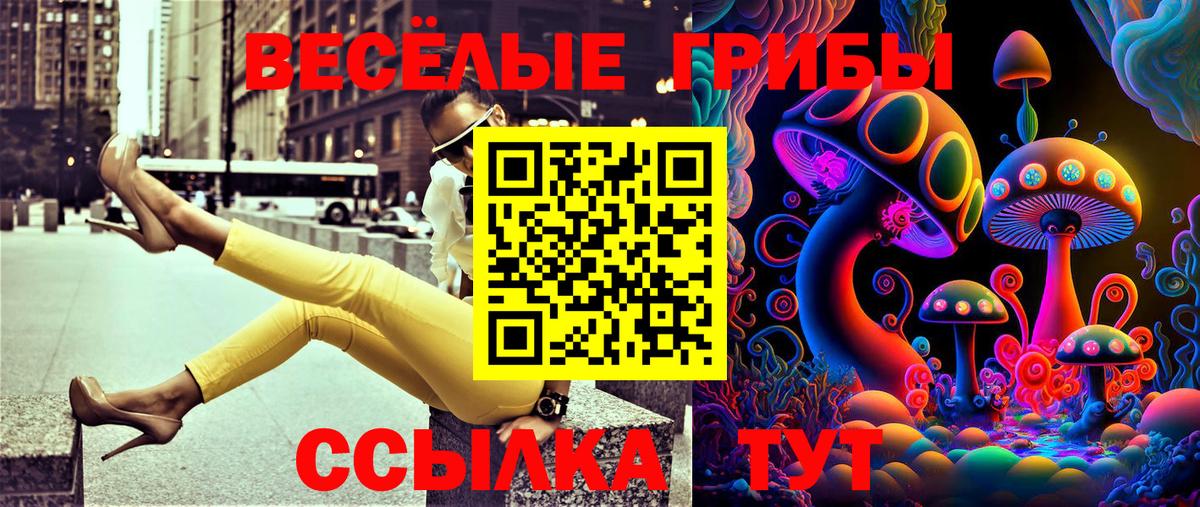Лесосибирск  Псилоцибиновые грибы Psilocybe  Вход с VPN  Псилоцибиновые грибы мухоморы 