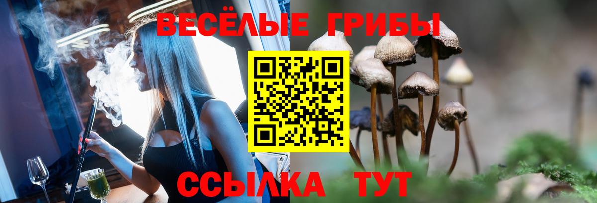 Галлюциногенные грибы GOLDEN TEACHER Лесосибирск