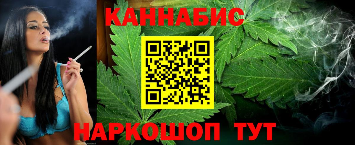 Бошки Шишки White Widow  Вход с VPN  Конопля конопля  Марихуана сатива  Лесосибирск 