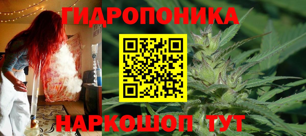 Бошки Шишки индика Лесосибирск